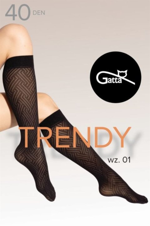 Podkolanówki TRENDY LINE KNEE 01 Kolor(nero) Rozmiar(UNI) Podkolanówki TRENDY LINE KNEE 01 Kolor(nero) Rozmiar(UNI)