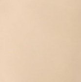 SEAMLESS COTTON STRINGI THONG M light nude