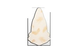 PLASTRY ALL-UP PS-03 C cielisty
