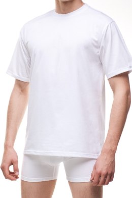 KOSZULKA AUTHENTIC 202 PLUS XXL biały