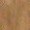RAJSTOPY CAROLINE ELASTIL 20 DEN R.3 3 beige