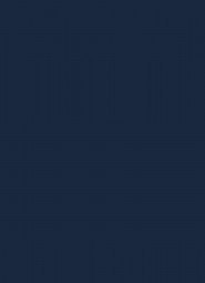 RAJSTOPY DIVERSE 100 DEN 2 navy