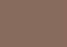 RAJSTOPY NAOMI MIKROFIBRA 20 DEN 2 beige