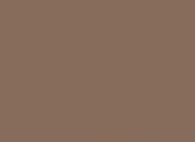 POŃCZOCHY NICOLE 15 DEN 3 beige
