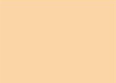 POŃCZOCHY NICOLE 15 DEN PLUS SIZE 5 naturel