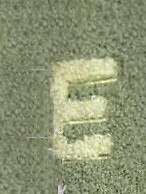 SKARPETY FROTTE LITERY uni zielony SKARPETY FROTTE LITERY uni zielony