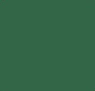 RAJSTOPY DZIEWCZĘCE CORINA 120 DEN 122-128 eden green RAJSTOPY DZIEWCZĘCE CORINA 120 DEN 122-128 eden green