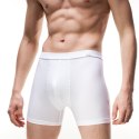 Bokserki AUTHENTIC PERFECT Kolor(beżowy) Rozmiar(3XL)