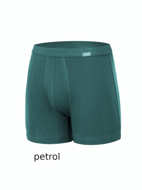 Bokserki AUTHENTIC PERFECT Kolor(petrol) Rozmiar(3XL) Bokserki AUTHENTIC PERFECT Kolor(petrol) Rozmiar(3XL)