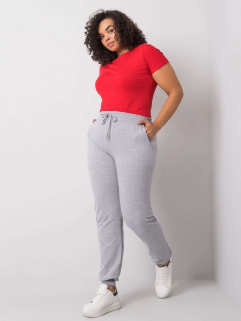 Spodnie dresowe RV-DR-6301.88 szary 2XL Spodnie dresowe RV-DR-6301.88 szary 2XL