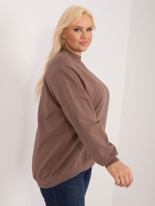 Bluza RV-BL-6299.11 brązowy 3XL