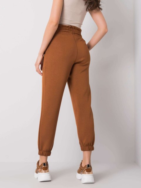 Spodnie dresowe 217-DR-25472.73 brązowy S Spodnie dresowe 217-DR-25472.73 brązowy S