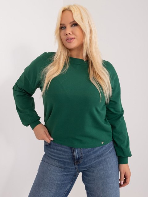 Bluza RV-BL-6317.94 ciemny zielony 3XL
