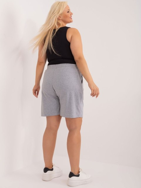 Szorty RV-SN-6336.04 szary 2XL Szorty RV-SN-6336.04 szary 2XL