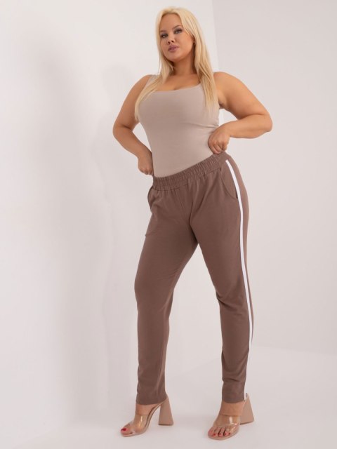 Spodnie dresowe RV-DR-6643.95 brązowy 4XL Spodnie dresowe RV-DR-6643.95 brązowy 4XL