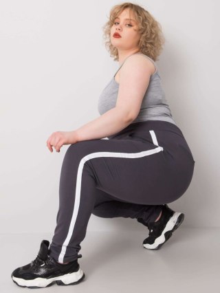 Spodnie dresowe RV-DR-6643.95 grafitowy 2XL