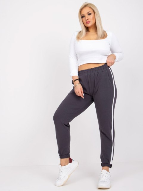 Spodnie dresowe RV-DR-6643.95 grafitowy 2XL Spodnie dresowe RV-DR-6643.95 grafitowy 2XL