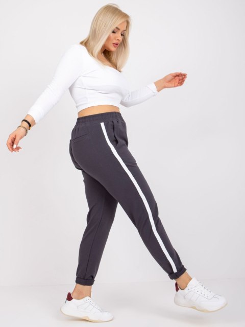 Spodnie dresowe RV-DR-6643.95 grafitowy 3XL Spodnie dresowe RV-DR-6643.95 grafitowy 3XL