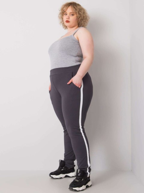 Spodnie dresowe RV-DR-6643.95 grafitowy 3XL Spodnie dresowe RV-DR-6643.95 grafitowy 3XL