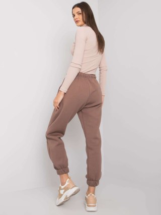 Spodnie dresowe RV-DR-7205.74 brązowy L/XL