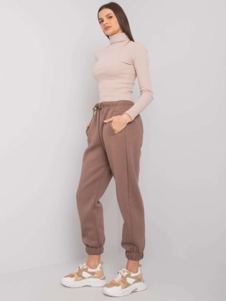 Spodnie dresowe RV-DR-7205.74 brązowy L/XL