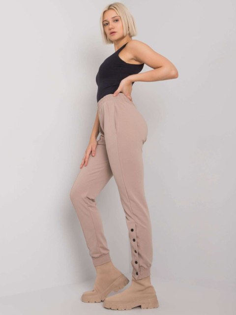Spodnie dresowe RV-DR-7365.17P ciemny bezowy L/XL Spodnie dresowe RV-DR-7365.17P ciemny bezowy L/XL