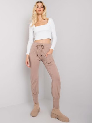 Spodnie dresowe RV-DR-7341.30P ciemny bezowy XL