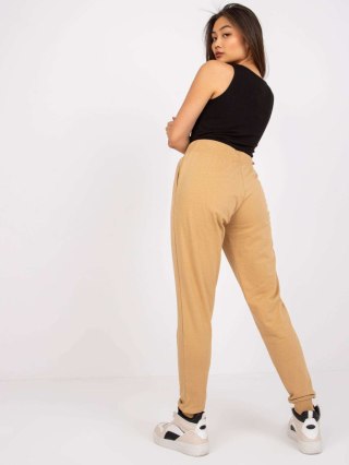 Spodnie dresowe TW-DR-1033.16P camelowy S