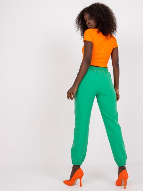 Spodnie DHJ-SP-15832.64 zielony 2XL