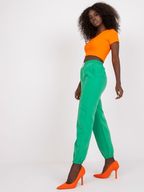Spodnie DHJ-SP-15832.64 zielony XL