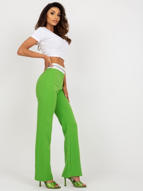 Spodnie DHJ-SP-6971.32 jasny zielony 2XL