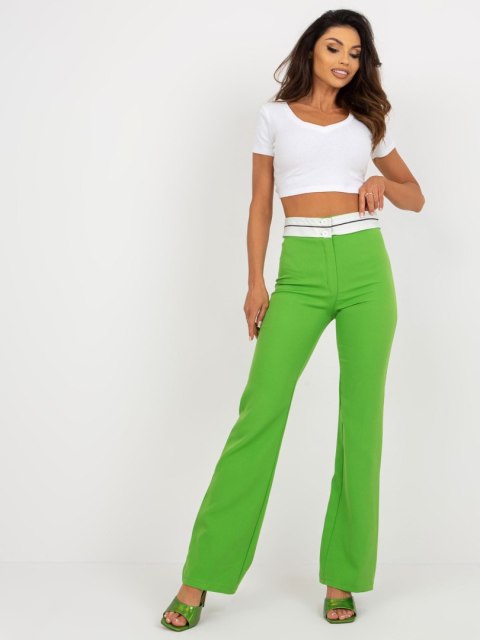 Spodnie DHJ-SP-6971.32 jasny zielony 2XL