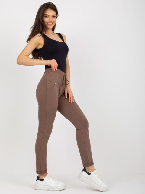 Spodnie dresowe RV-DR-8696.20 brązowy L/XL