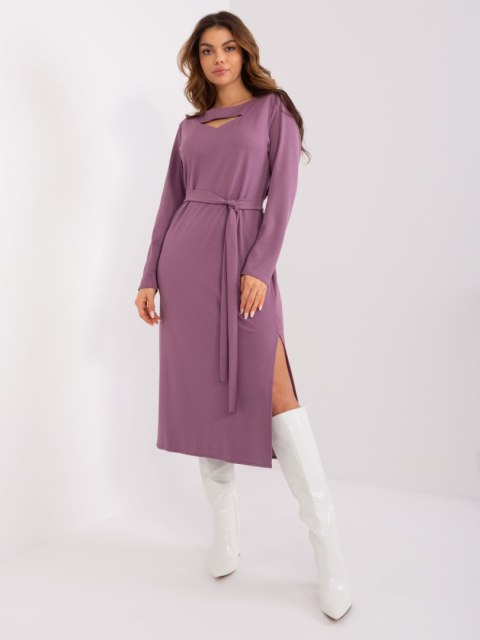 Sukienka LK-SK-509447.75P fioletowy L/XL
