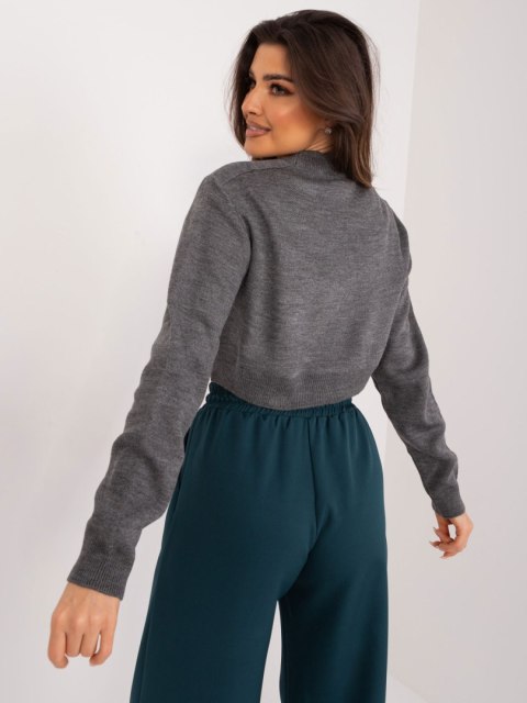 Sweter BA-SW-1489.24 ciemny szary Sweter BA-SW-1489.24 ciemny szary