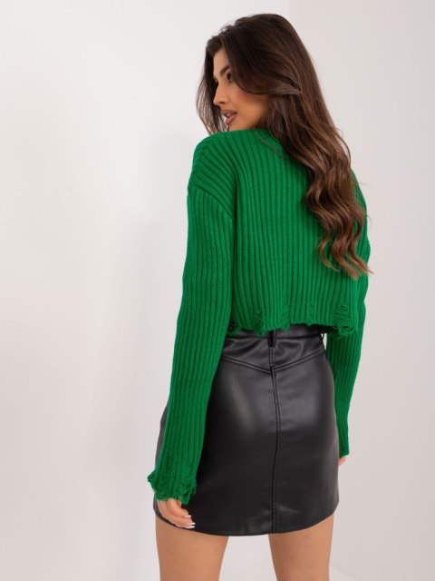 Sweter BA-SW-4074.06 zielony Sweter BA-SW-4074.06 zielony