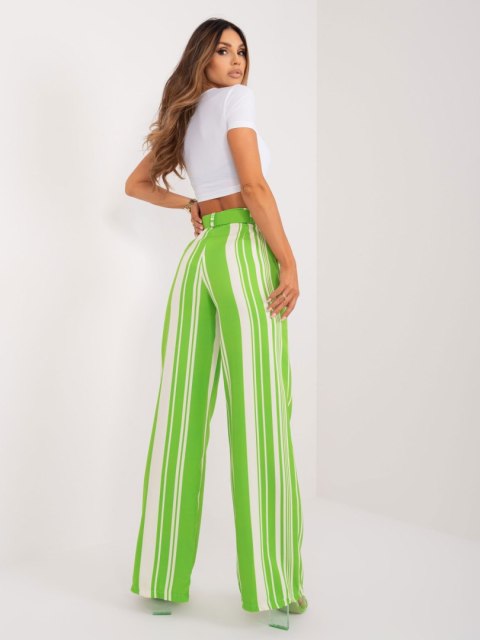 Spodnie DHJ-SP-5077.68 jasny zielony 2XL