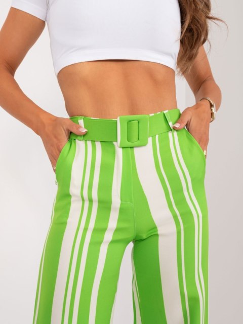 Spodnie DHJ-SP-5077.68 jasny zielony 2XL