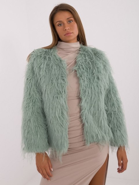 Kurtka AT-KR-2359.96P pistacjowy L/XL Kurtka AT-KR-2359.96P pistacjowy L/XL