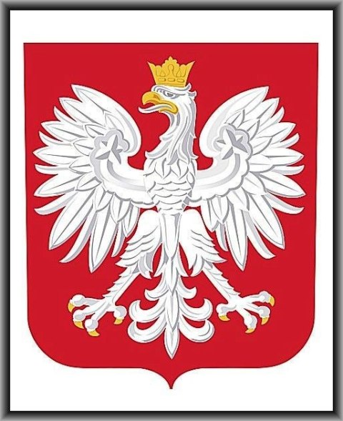 Godło Adamigo w ramce Godło Adamigo w ramce