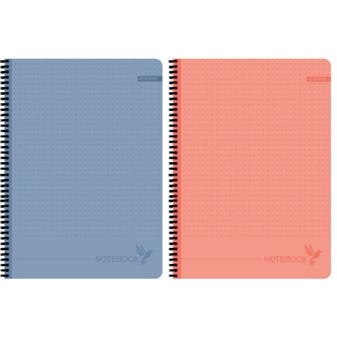 Kołozeszyt (kołobrulion) (nd) PRIPLAK A4 80k. krata (4171) Kołozeszyt (kołobrulion) (nd) PRIPLAK A4 80k. krata (4171)