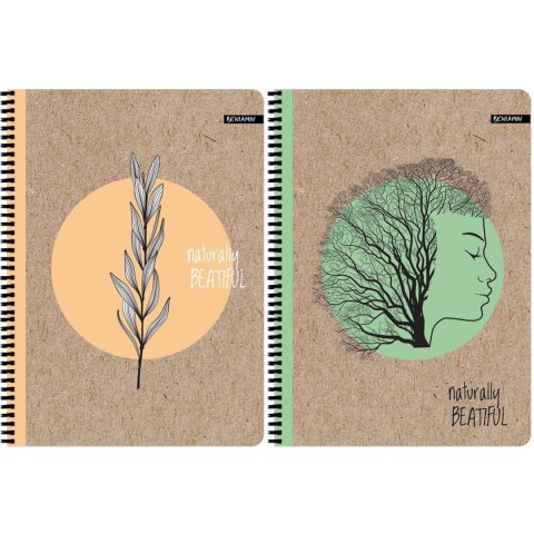 Kołozeszyt (kołobrulion) (nd) KRAFT LINER A4 80k. 70g krata (4164) Kołozeszyt (kołobrulion) (nd) KRAFT LINER A4 80k. 70g krata (4164)