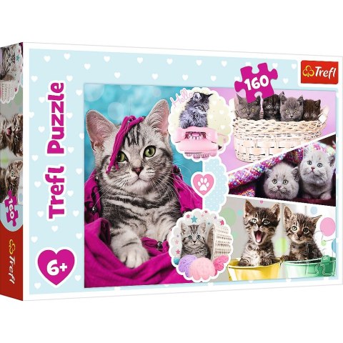 Puzzle Trefl 160 el. (15371) Puzzle Trefl 160 el. (15371)