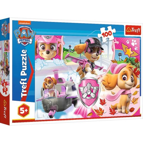 Puzzle Trefl Paw Patrol 100 el. (16368) Puzzle Trefl Paw Patrol 100 el. (16368)