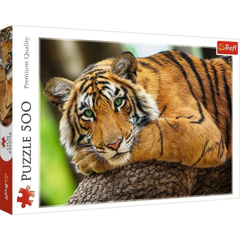 Puzzle Trefl Portret tygrysa 500 el. (37397) Puzzle Trefl Portret tygrysa 500 el. (37397)