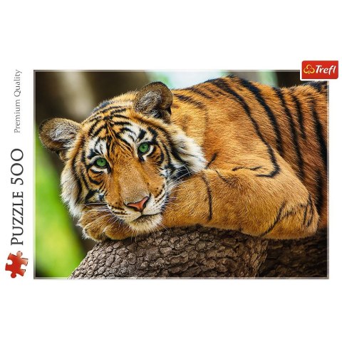 Puzzle Trefl Portret tygrysa 500 el. (37397) Puzzle Trefl Portret tygrysa 500 el. (37397)