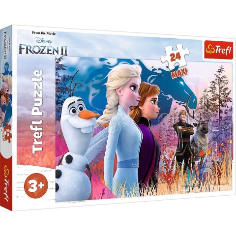 Puzzle Trefl Magiczna wyprawa 24 el. (14298) Puzzle Trefl Magiczna wyprawa 24 el. (14298)