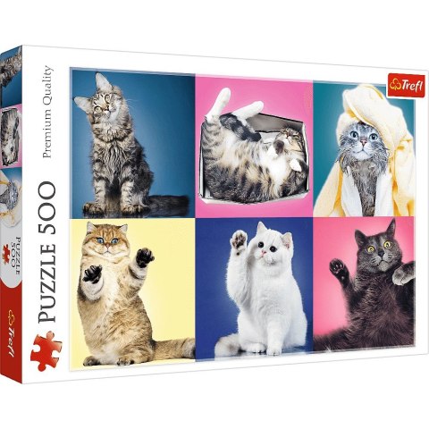 Puzzle Trefl Kociaki 500 el. (37377) Puzzle Trefl Kociaki 500 el. (37377)