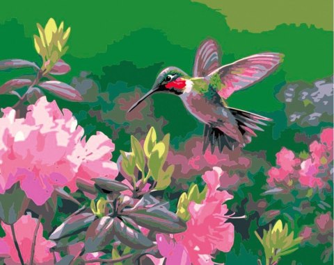 Zestaw kreatywny Flamingo Line Malowanie po numerach 40x50cm Koliber (FSY213) Zestaw kreatywny Flamingo Line Malowanie po numerach 40x50cm Koliber (FSY213)