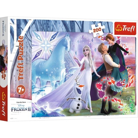 Puzzle Trefl Frozen 2 Magiczny świat sióstr 200 el. (13265) Puzzle Trefl Frozen 2 Magiczny świat sióstr 200 el. (13265)